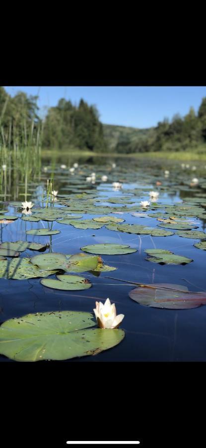 Glamping On Idyllic Lake, Paddle Boards & Rowboat 포르스그룬 외부 사진